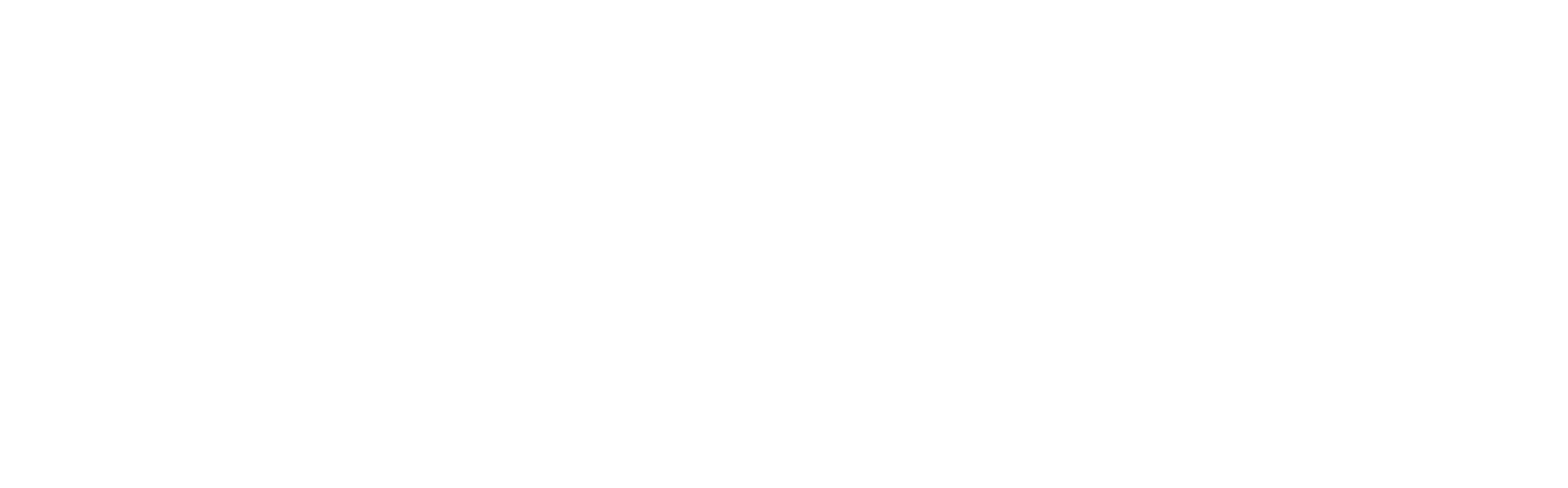 Full-Stack Web Developer